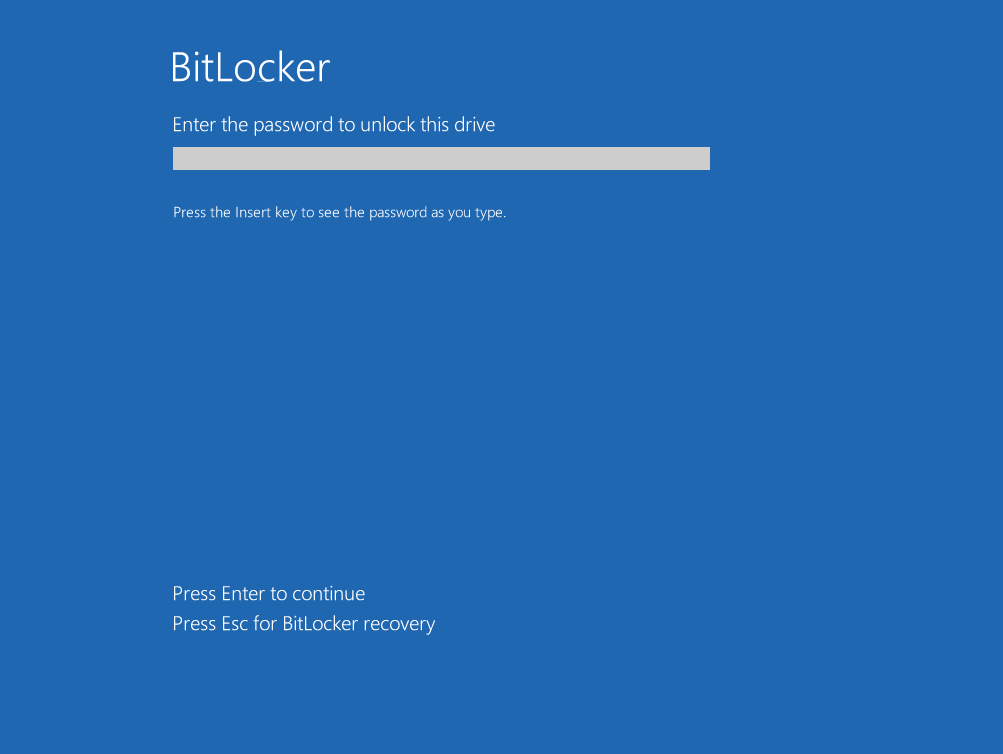 BitLocker Screen